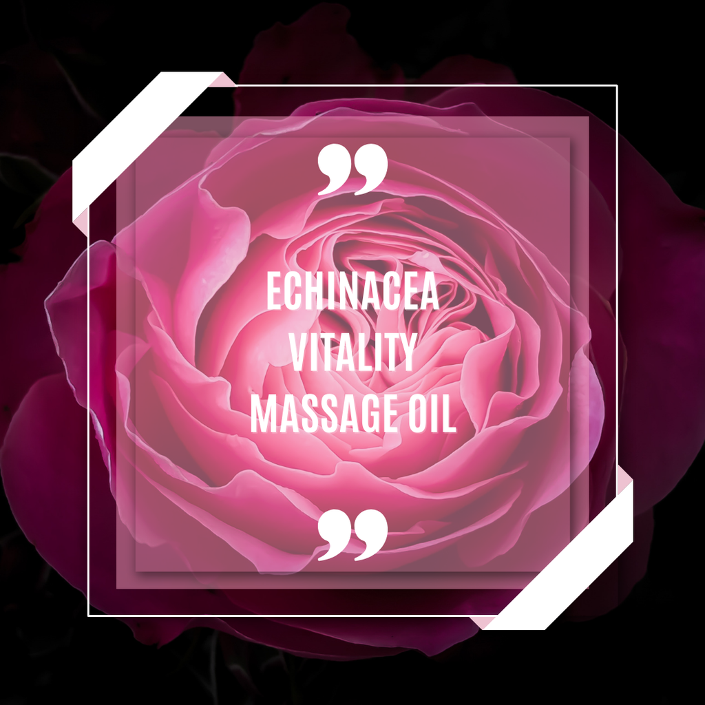 Echinacea Vitality Massage Oil tinh dầu mát-xa VALMONT Spa
