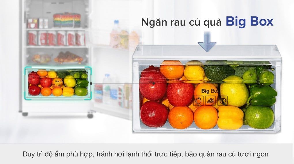 Tủ lạnh Samsung Inverter 208 lít RT19M300BGS/SV