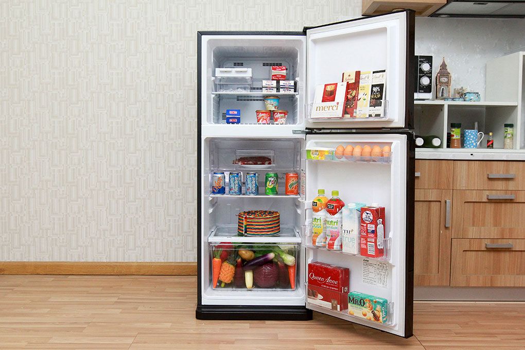 Tủ lạnh Mitsubishi Electric 204 lít MR-FV24J-BR-V