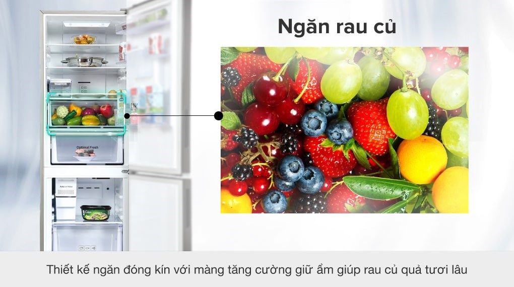 Tủ lạnh Samsung Inverter 307 lít RB30N4190BU/SV