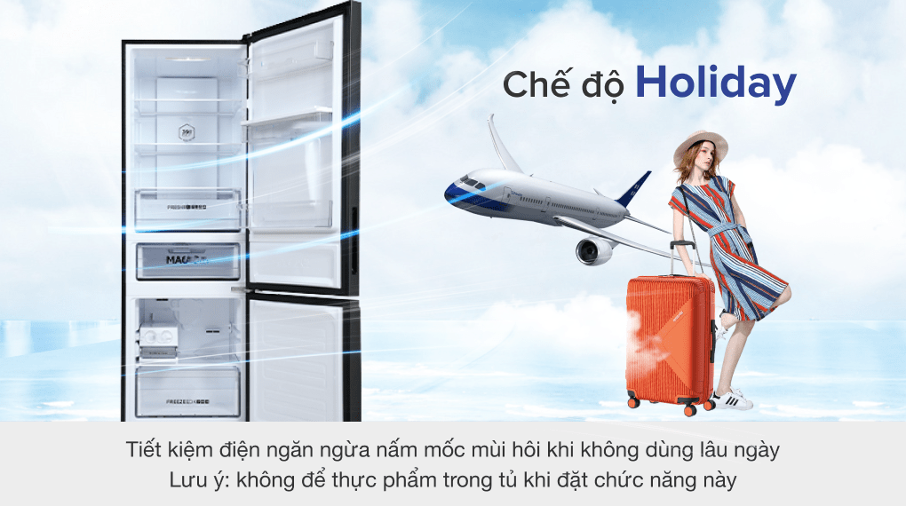 Tủ lạnh Aqua Inverter 320 lít AQR-B399MA(HB)