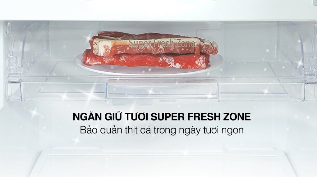 Tủ lạnh Casper Inverter 238 lít RT-250VD