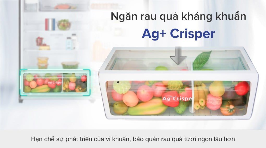 Tủ lạnh Toshiba Inverter 555 lít GR-AG58VA (X)