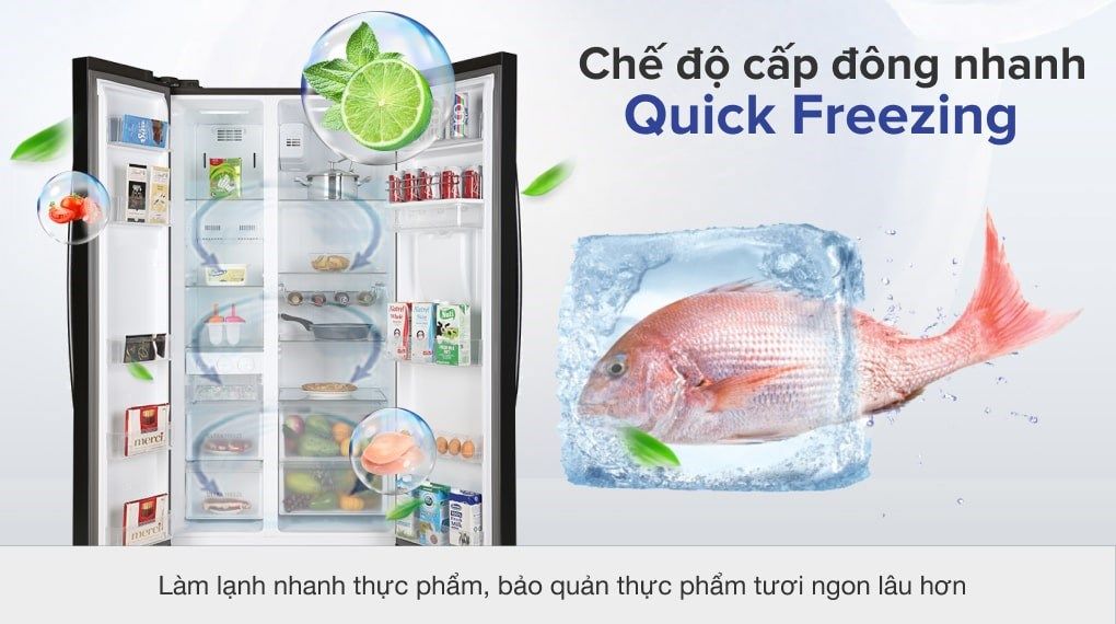 Tủ lạnh Toshiba Inverter 513 lít GR-RS682WE-PMV(06)-MG