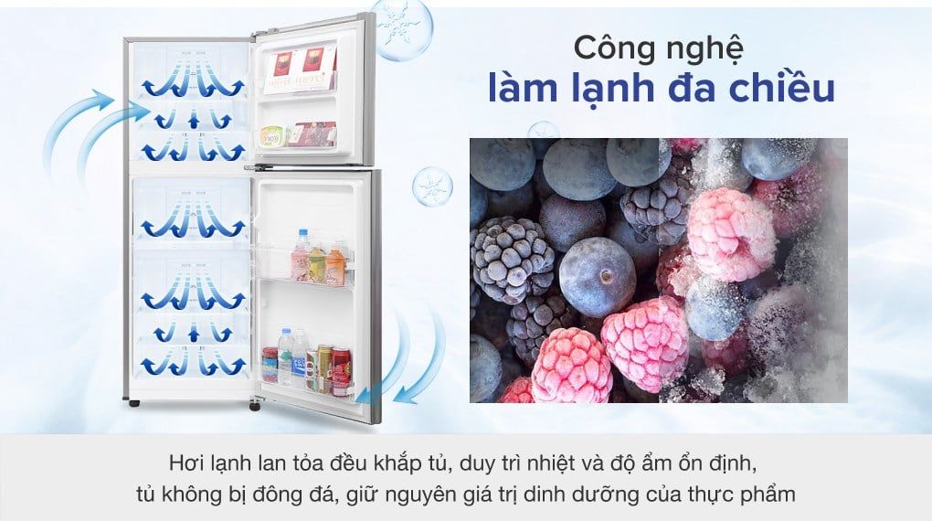 Tủ lạnh Samsung Inverter 208 lít RT19M300BGS/SV