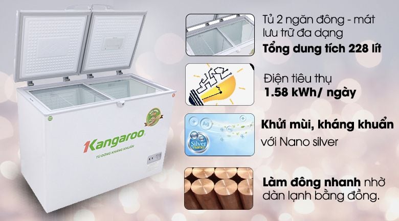 Tủ đông Kangaroo 228 lít KG 298C2