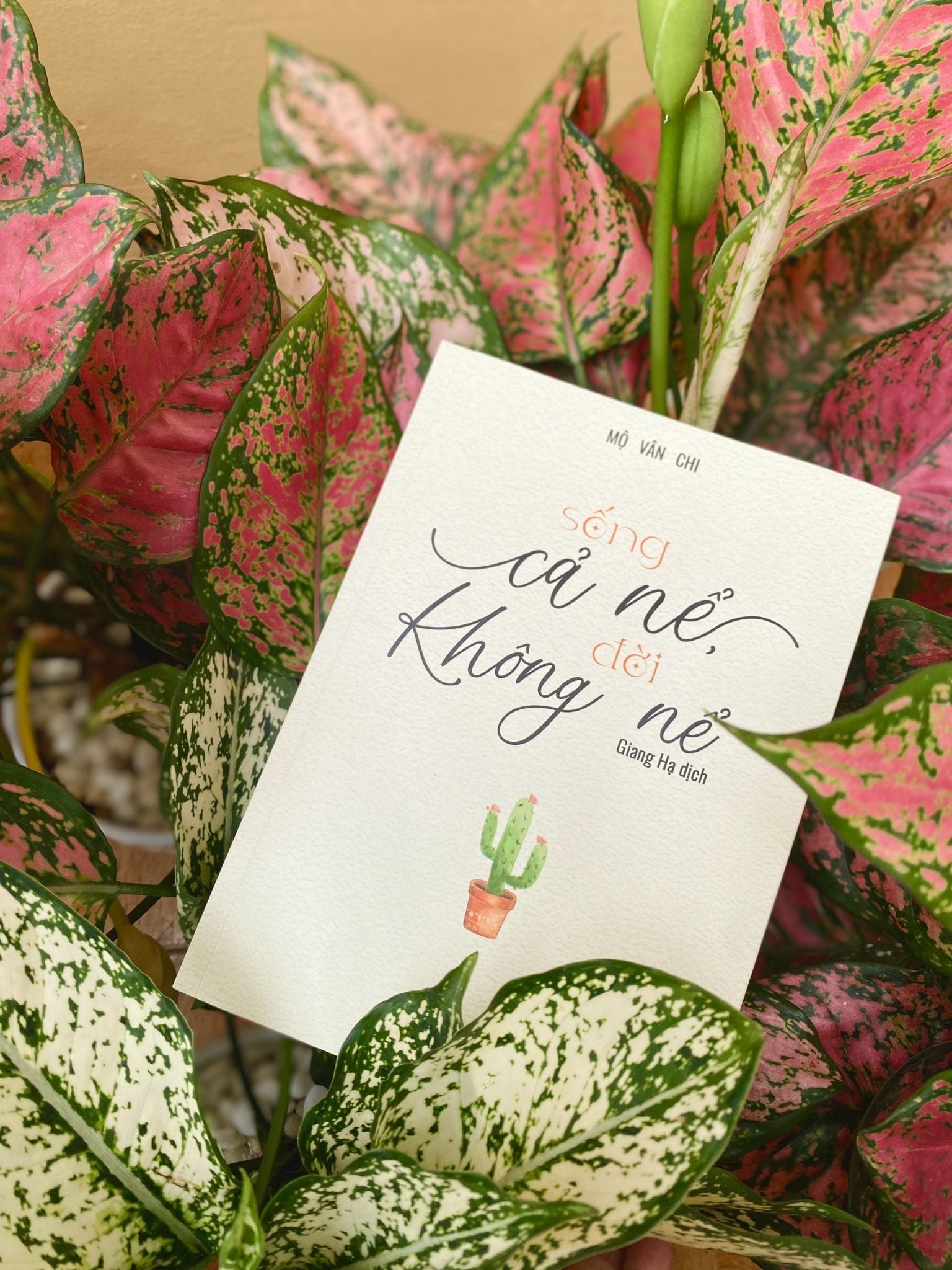  Sách - Sống cả nể, đời không nể 