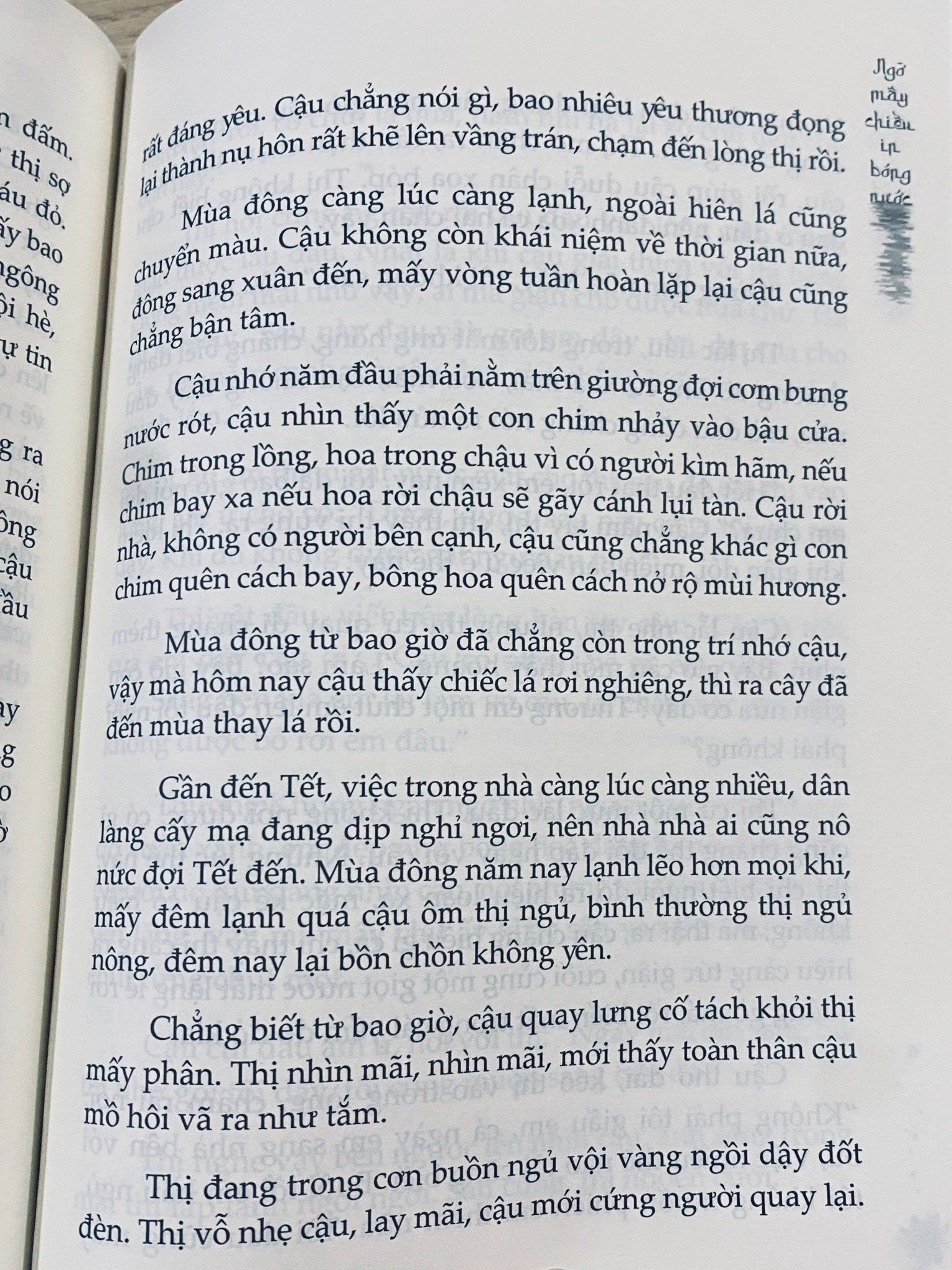  Sách - Ngỡ mây chiều in bóng nước - Trường Tình 