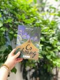  Sách - Cọ hoang - William Faulkner (Tái bản 2025) 