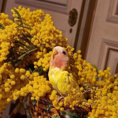 Gucci Winter's Spring EDP 100ml