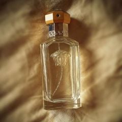Versace The Dreamer EDT