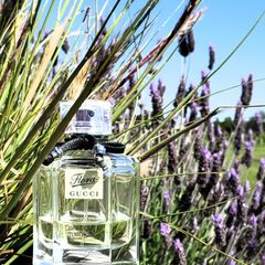 Gucci Flora Gracious Tuberose Eau De Toilette