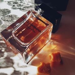 Dolce & Gabbana The Only One Eau de Parfum