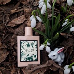 Gucci Bloom Acqua di Fiori EDT