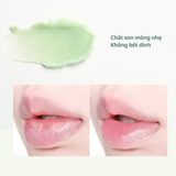  [Chính Hãng] Son Dưỡng Thuần Chay YNM Fresh Green 3g - Vegan, Giảm Bong Tróc, Dưỡng Ẩm Tự Nhiên 