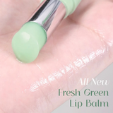  [Chính Hãng] Son Dưỡng Thuần Chay YNM Fresh Green 3g - Vegan, Giảm Bong Tróc, Dưỡng Ẩm Tự Nhiên 