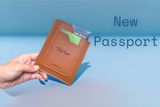 COMBO PASSPORT POCKET và TAG VALI 