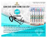 Bàn chải Ruby