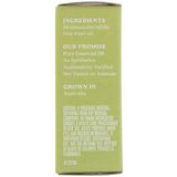Tinh dầu trà tràm Aura Cacia Discover Tea Tree Pure Essential Oil