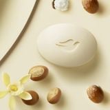 Xà bông cục từ bơ hạt mỡ Dove Beauty Purely Pampering Shea Butter lốc [Mỹ]