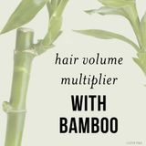 Dầu gội và xả dành cho tóc mỏng Pantene Nutrient Blends Pro-V with Bamboo 285 mL [Mỹ]