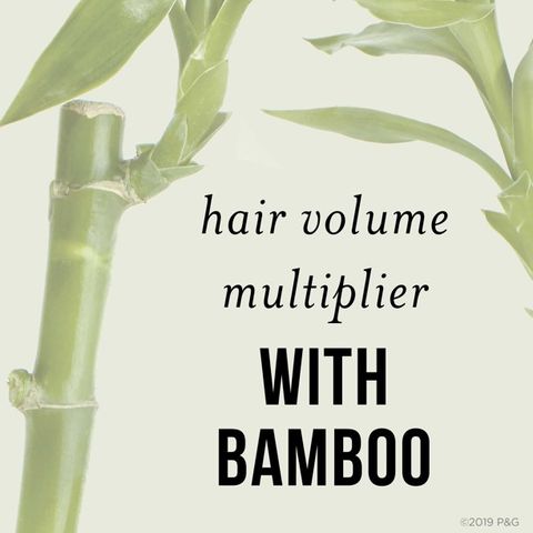 Dầu gội và xả dành cho tóc mỏng Pantene Nutrient Blends Pro-V with Bamboo 285 mL [Mỹ]