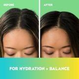 Dầu gội và xả dưỡng ẩm siêu mượt OGX Hydrating + Tea Tree Mint