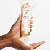 Dầu gội và xả dành cho tóc xoăn Pantene Nutrient Blends Pro-V with Jojoba oil 285 mL [Mỹ]
