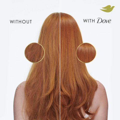 Dầu gội phục hồi tóc hư tổn chuyên sâu Dove Shampoo Intensive Repair 532 mL [Mỹ]