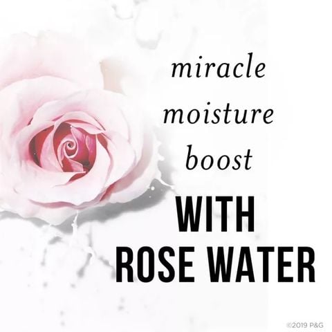 Dầu gội và xả cho tóc khô và giòn Pantene Pro-V Miracle Moisture Boost Rose Water 285 mL[Mỹ]