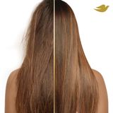 Dầu gội, xả phục hồi tóc hư tổn và độ dày cho tóc mỏng Dove volume & fullness 603mL [Mỹ]