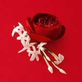 SÌ đỏ 100 mL - Nước hoa Nữ SÌ PASSIONE