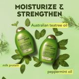 Dầu gội và xả dưỡng ẩm siêu mượt OGX Hydrating + Tea Tree Mint