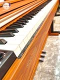 Piano điện Saiger SDP 2889