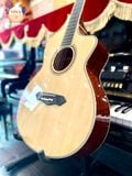 Guitar Acoustic Dallas EQ DL-A400