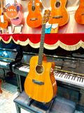 Guitar Acoustic Aletta