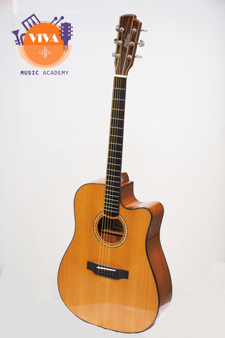 Guitar Acoustic Aletta