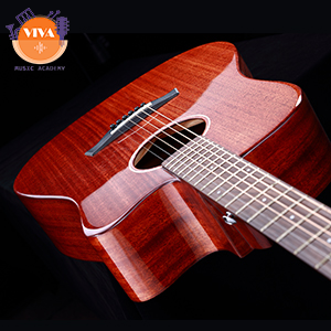 guitar-rosen-g31-dang-D