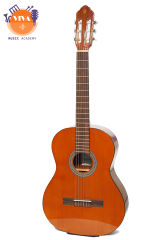 Guitar Classic Eko Vibra - V100