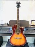 Guitar Eko One 018CW EQ