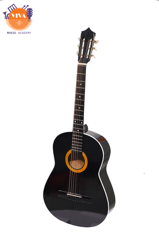 Guitar Việt Nam