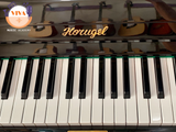 Piano cơ Horugel WG-9