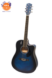 Guitar Acoustic Rosen R135 EQ
