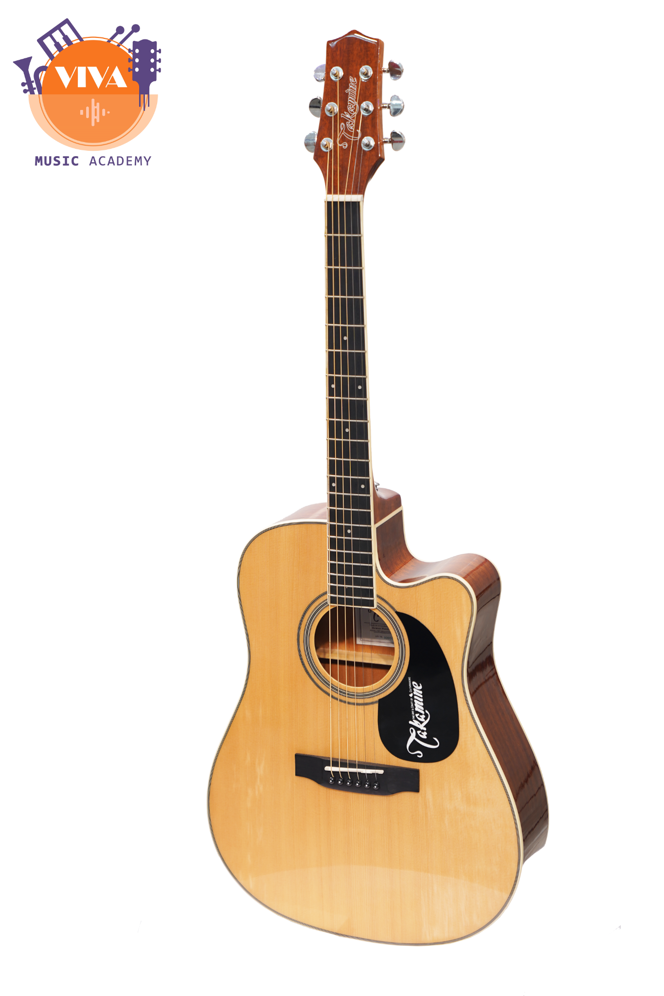 Takamine ed334c top