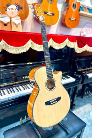 Guitar Acoustic Deviser  L-T4 - tặng kèm full phụ kiện (bao da, bộ dây, dây đeo, capo, jack, pick)