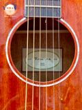 Guitar Acoustic Rosen G31 dáng D khuyết