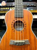 Ukulele gỗ Dallas chính hãng (size 23)