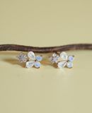 [ancafe-accessories] Hoa tai ER280K-040-VH