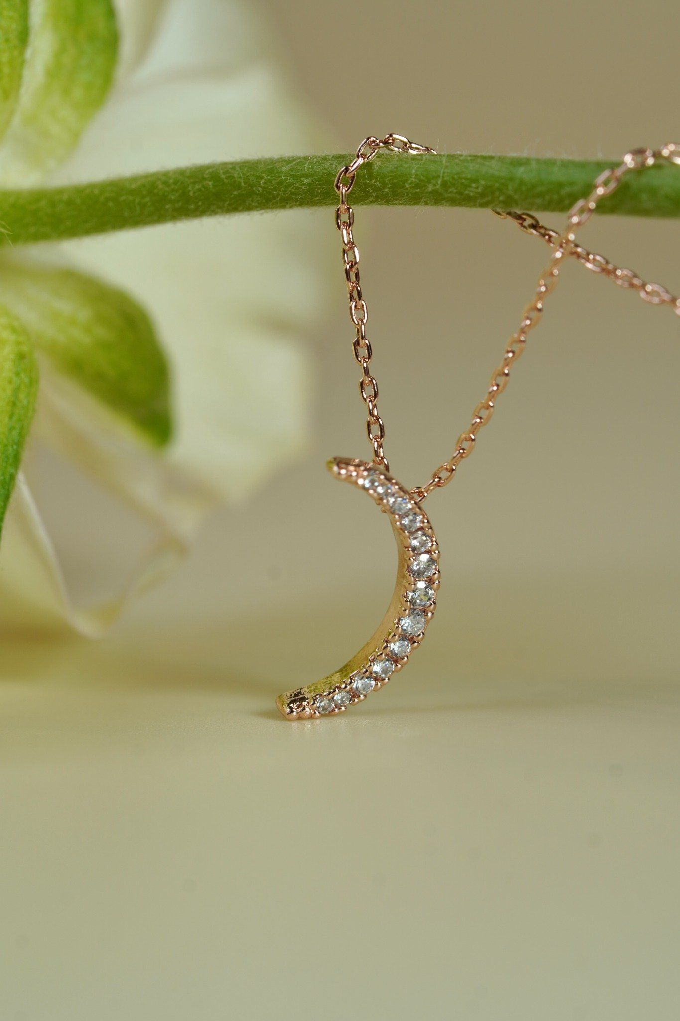 [ancafe-accessories] Dây chuyền NL350K-018-VH