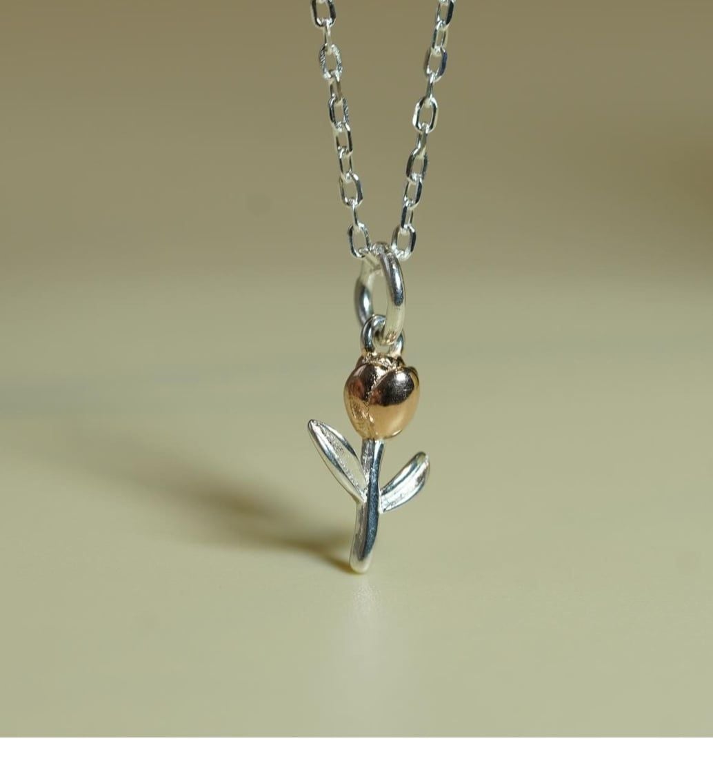 [ancafe-accessories] Dây chuyền NL390K-049-BAC